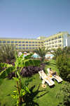 Pine House Hotel 